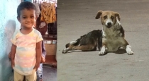 Karnataka Raichur 4 Aged Minor Girl Dies after Dog Bite 