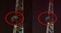 Uttar Pradesh Moradabad Couple climb Mobile Tower 