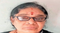   in Chennai Mylapore Cops Arrested 59 Aged Lady on Theft Case 