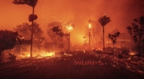   in California Los Angels Forest Fire ﻿