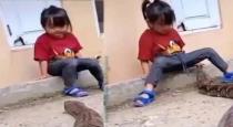 Small child play with big anaconda