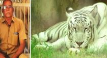 vandalur-white-tiger-attacking-his-maintainer