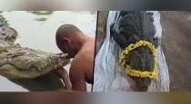 Temple crocodile dead in kerala