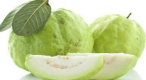 benefits-of-eating-guava-fruit-daily