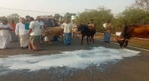 Tamilnadu Milk stopping Struggle