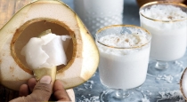 How to prepare Ilaneer milk juice in home