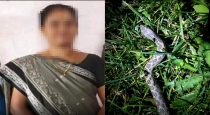 Virudhunagar Sathur Women Died Snake Bite 