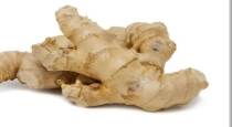 Health tips about eating ginger