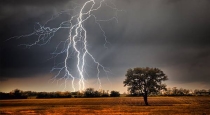 Odisha lightning attack 10 peoples death 