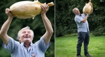 9kg big size onion in England 