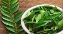 curry-leaves-health-benefits