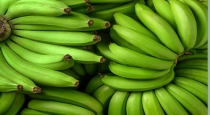Banana recipes tips