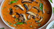 mushroom-kurma-recipe