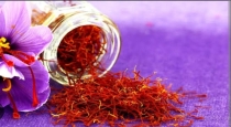 Health benefits in saffron 