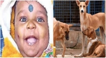 4 month baby died dog bite telungana