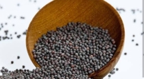 many-disease-cured-by-eating-mustard-seeds