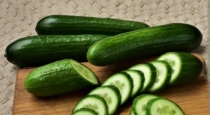 Benefits of eating cucumber at daily 