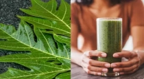 Secret of papaya leaf juice 