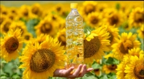 sunflower-oil-helps-to-weight-loss