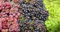 grapes-benefits-for-human-health