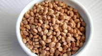chironji-dried-nuts-benefits