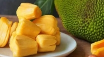 These disease caused by eating jackfruit 