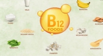 These vegetarian foods are help to increase vitamin b12