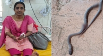 Kerala Kasaragode School Teacher Bites by Snake 