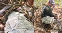 Snake-attack-on-kev-bao-video