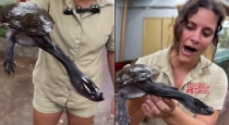 Snake-neck-turtle-viral-video