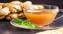 Benefits of drinking ginger tea
