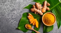 interesting-facts-about-raw-turmeric