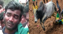 Madurai Palamedu Jallikattu Caste Problem 