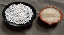 Tapioca pearls Javvarisi Benefits Tamil