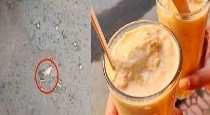 Madurai Thiruparangundram Frog Died Ice Cream 3 Children Affected 