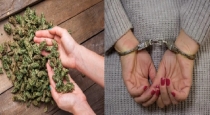 2 women 1 men arrested for  Cannabis