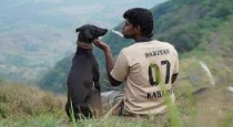 mari-selvaraj-pariyerum-perumal-movie-karuppi-dog-dies