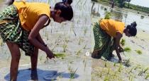 actress-keerthi-pandiyan-farming-video-goes-viral