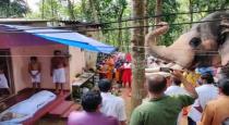 Elephant pays tribute to its mahout at his funeral in Kerala