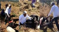 Maharashtra Pune Satara Lady Forest Guard Attacked Video 