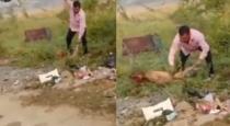 madhya-pradesh-gwalior-doctor-murder-dog-using-surgical
