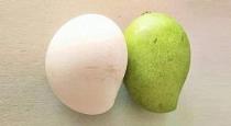 mango-shape-egg-photo-viral