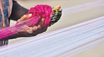 CHennai Aminjikarai Manja Loom SLits cop Throat 