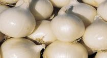 white onion benifits 