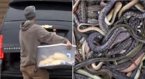 America Maryland Charles County Man Died House 125 snakes Recovered  