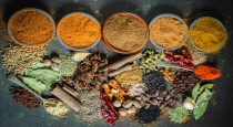 Indian Food Safety Department about Masala Products 