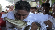 mexico-oksaha-mayor-married-crocodile