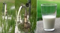 water-coming-like-milk-in-andhra-farmer-land-video-goes