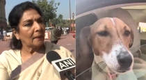 Congress MP Renuka Chowdhury Brings Puppy to Parliament Winter Session, Sparks Political Debate 