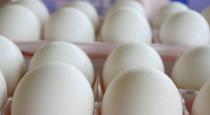 man-cheating-villagers-to-sale-lastic-eggs